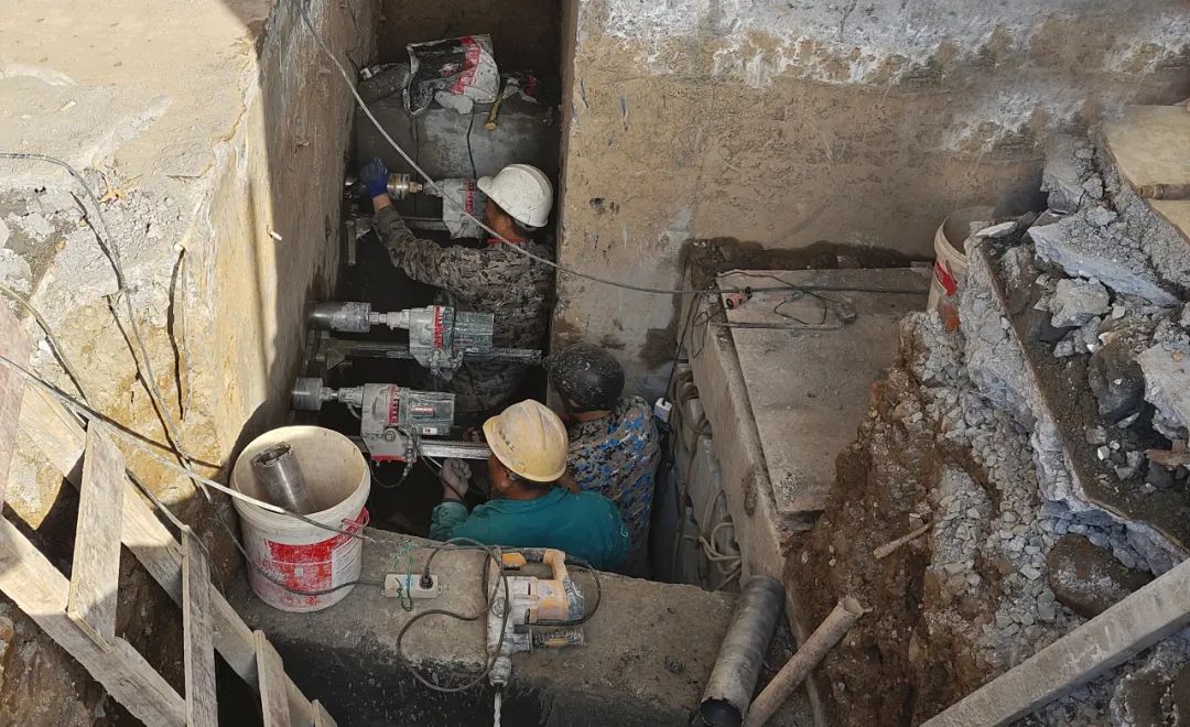 1699579826984247.jpg 1699579826984247.jpg